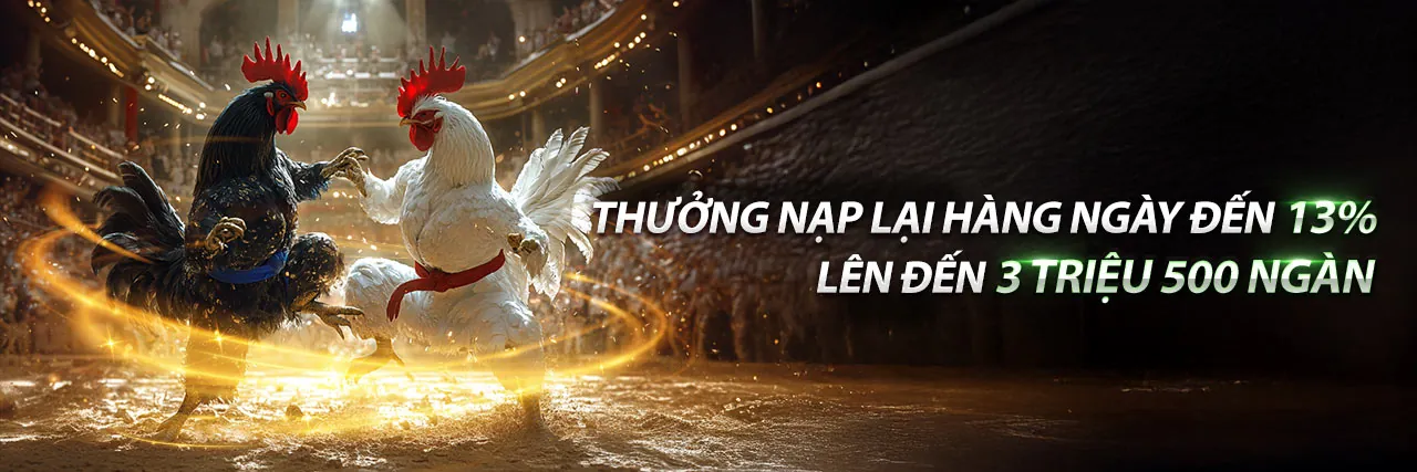 Sân đấu gà trực tuyến WM9378